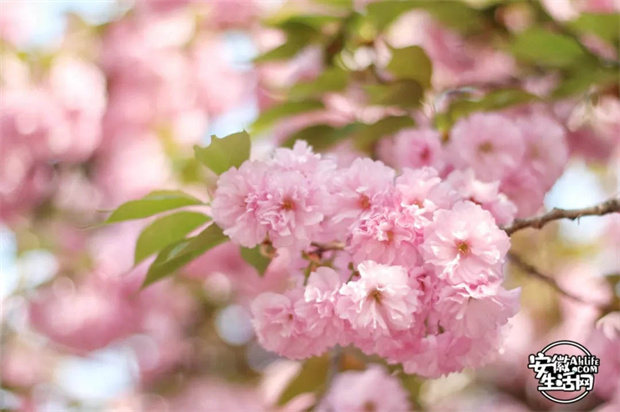 人生就是搏·(中国区)官方网站