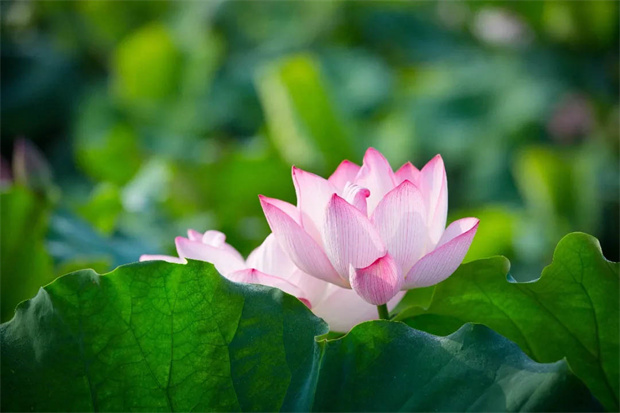 人生就是搏·(中国区)官方网站