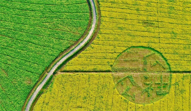 人生就是搏·(中国区)官方网站