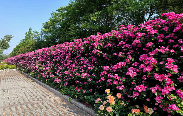 人生就是搏·(中国区)官方网站